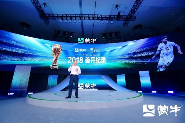 99久久精品国产综合一区